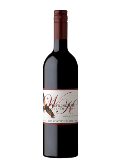 Whistling kite 2024 Montepulciano